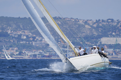 VVP_2023-08545.jpg
