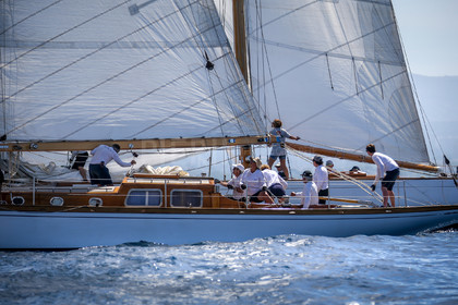 A29X4861.jpg