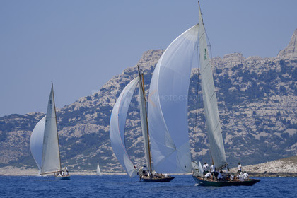 _DSC8095-b.jpg