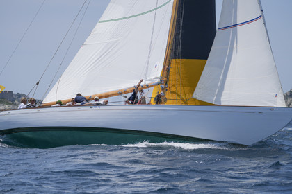 VVP_2023-08759.jpg