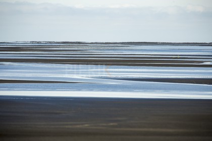 A29X4846.jpg