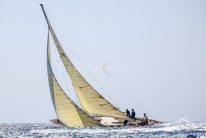 O60A0333.jpg
