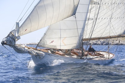 A29X6677.jpg