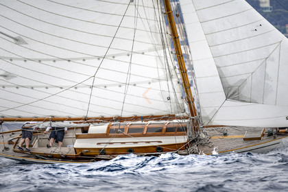 A29X9576.jpg