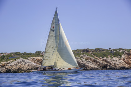 O60A8445.jpg