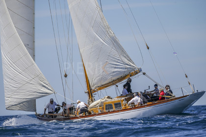 A29X8573.jpg