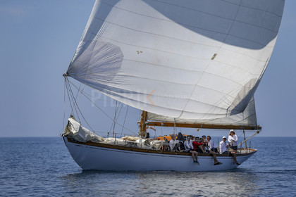 A29X2590.jpg