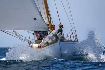A29X4369.jpg