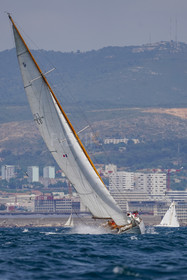 DSC09730.jpg