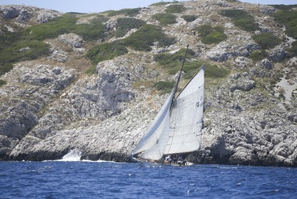 A29X6656.jpg