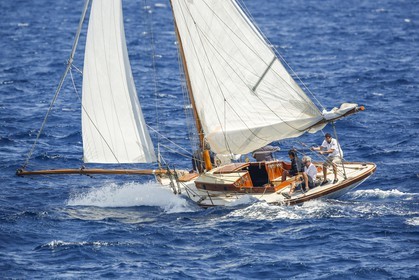 _60A1638.jpg