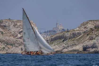 DSC00083.jpg