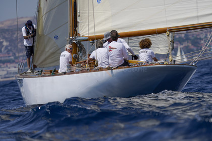 VVP_2023-7316.jpg