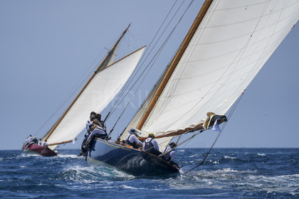 VVP_2023-08391.jpg
