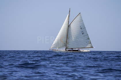VVP_2023-7516.jpg