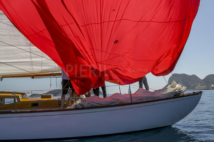 O60A8481.jpg