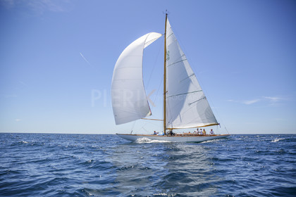 O60A8153.jpg