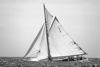 Kelpie