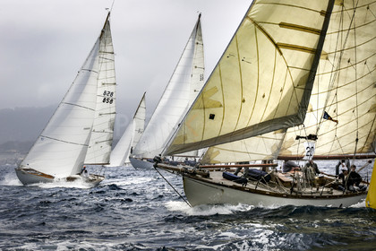 O60A2299.jpg