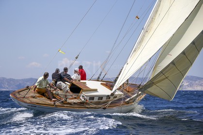 A29X9242.jpg