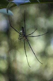 18122013-BL6A2421.jpg