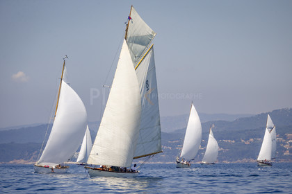 A29X7199.jpg