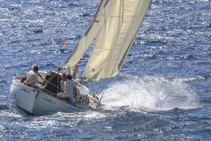 O60A1480.jpg