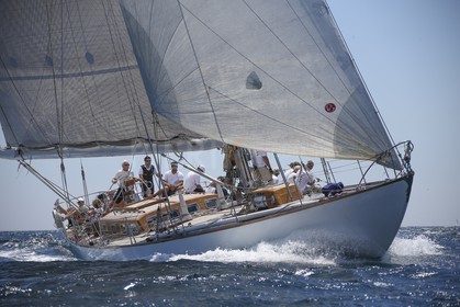 A29X9071.jpg