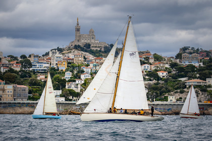 A29X9564.jpg