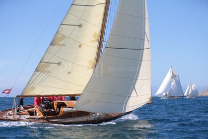 Windhover