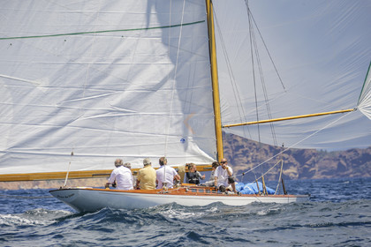 A29X8870.jpg