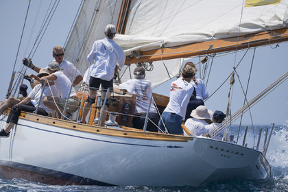 VVP_2023-08518.jpg