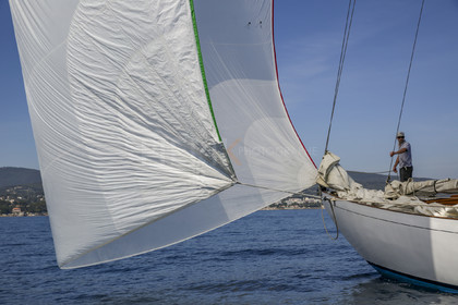 O60A8527.jpg