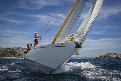 O60A0480.jpg