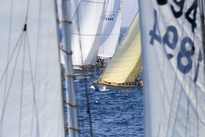 O60A1409.jpg