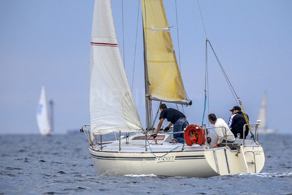 VireVire2014-169.jpg