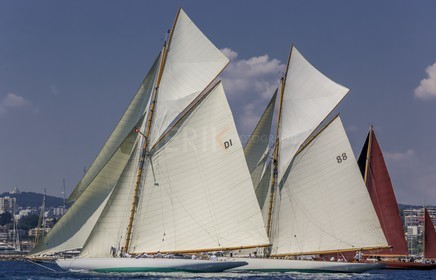 O60A7856.jpg