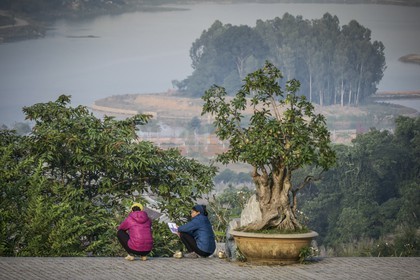 Tam Coc-65.jpg