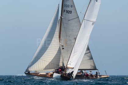 Andale croise Nagaïna