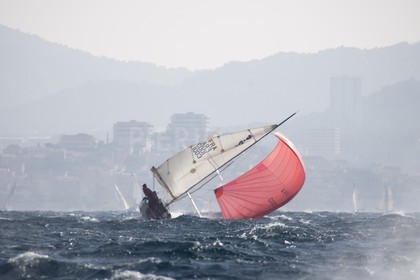 A29X2088.jpg