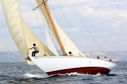 Irina VII
