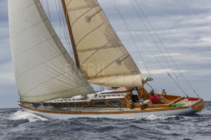 O60A1212.jpg