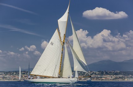 O60A7828.jpg