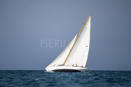 A29X4113.jpg