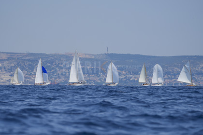 VVP_2023-07749.jpg