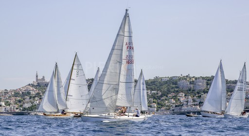 O60A8502.jpg