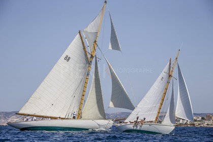 A29X2188.jpg