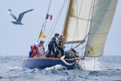 VVP_2023-08777.jpg