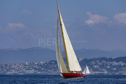 A29X2484.jpg