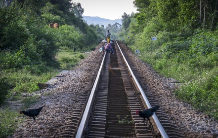 Hoi An-47.jpg